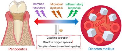 Endogenous and microbial biomarkers for periodontitis and type 2 diabetes mellitus